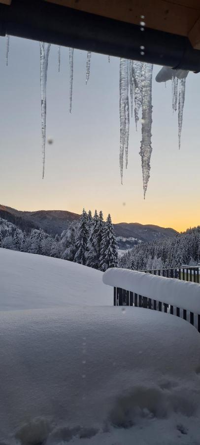 Penthouse Skyview Im Natur-Erlebnispark Bad Kleinkirchheim Patergassen Bagian luar foto